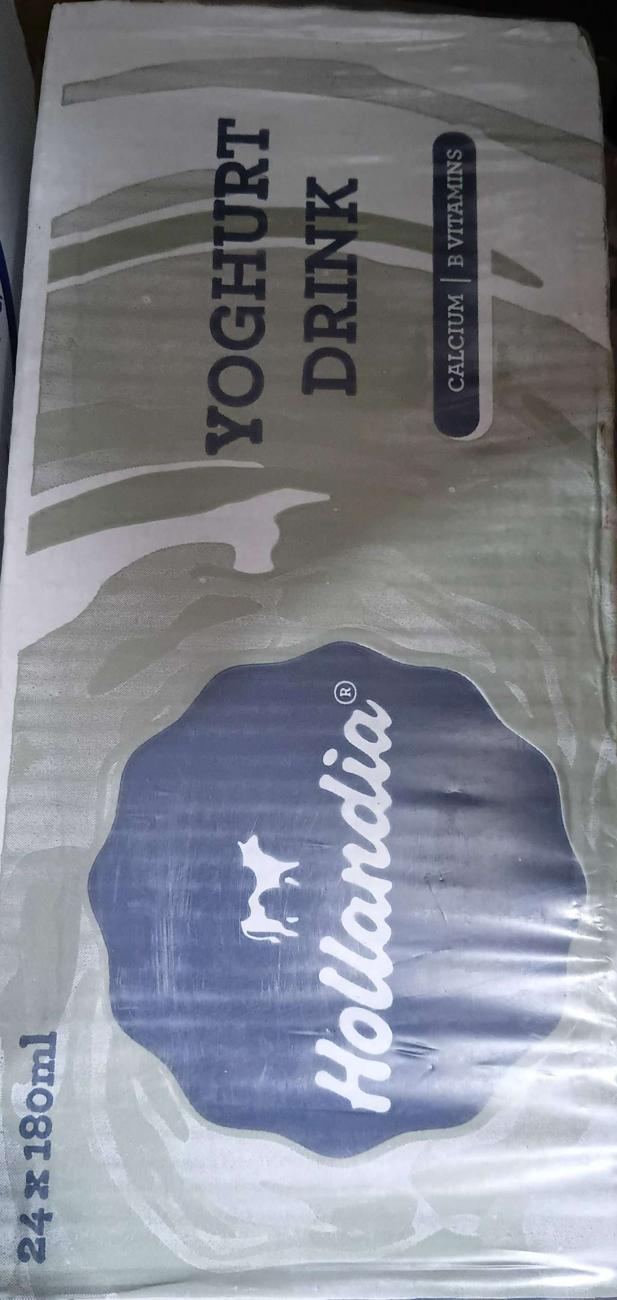 HOLLANDIA YOGĤURT DRINK 180ML